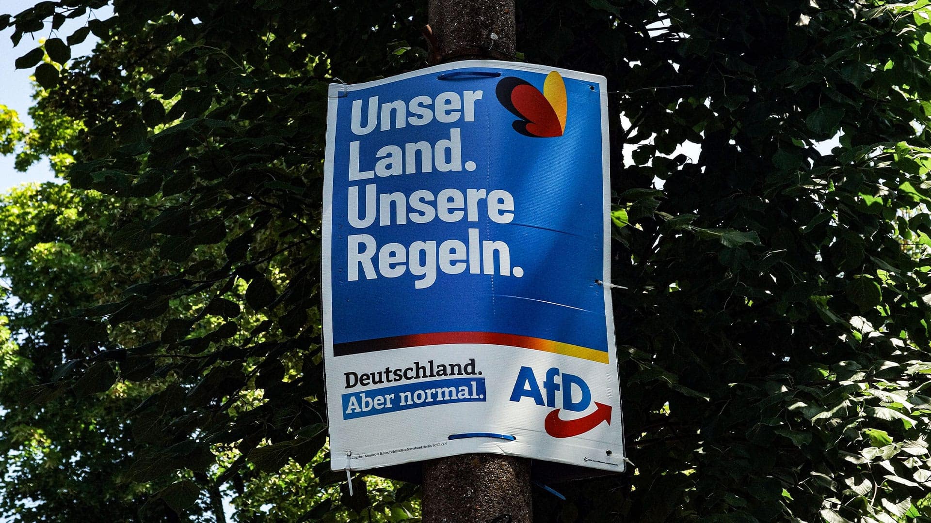 Gutachten: AfD laut Experten