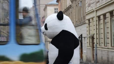 Blüten der Sinophobie: Gefährden chinesische Züge Europas Sicherheit? Blüten der Sinophobie: Gefährden chinesische Züge Europas Sicherheit?
