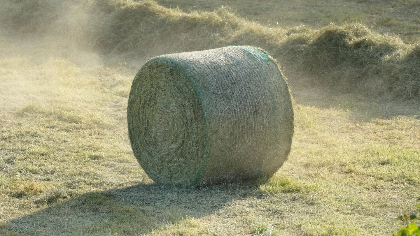 ETF im Fokus: Bringen Landwirte mir Rendite? | Capital+ ETF im Fokus: Bringen Landwirte mir Rendite? | Capital+