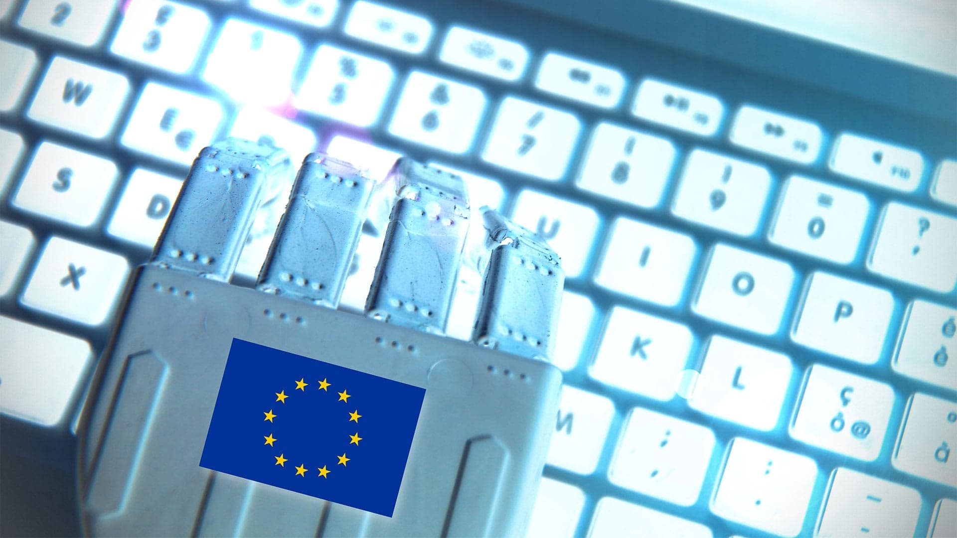 EU-Parlament billigt Wiedereinführung der