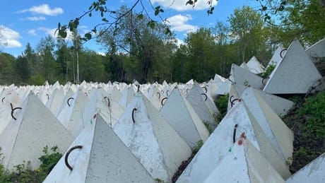 „Drachenzähne“ an Russlands Grenze: Lettland baut neue Verteidigungslinie auf „Drachenzähne“ an Russlands Grenze: Lettland baut neue Verteidigungslinie auf