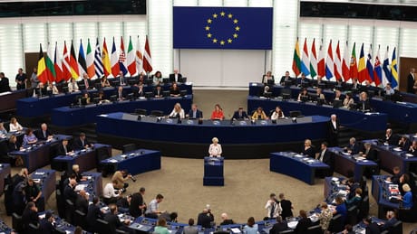 AfD-Europapartei ESN soll verboten werden – wegen „Zweifeln an der Einhaltung“ der EU-Werte AfD-Europapartei ESN soll verboten werden – wegen „Zweifeln an der Einhaltung“ der EU-Werte