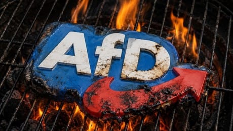 Aufruf zur Landtagswahl: AfD-Gegner sollen sich nach Halle ummelden Aufruf zur Landtagswahl: AfD-Gegner sollen sich nach Halle ummelden